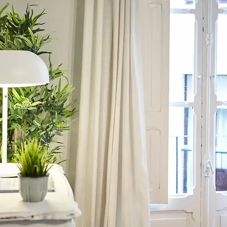 Bergara 산세바스티안